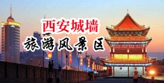 黄色捅中国陕西-西安城墙旅游风景区